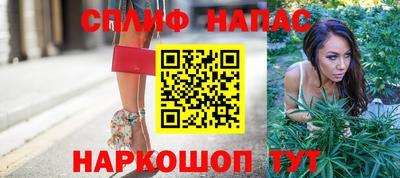 крисы Будённовск