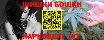 крисы Будённовск