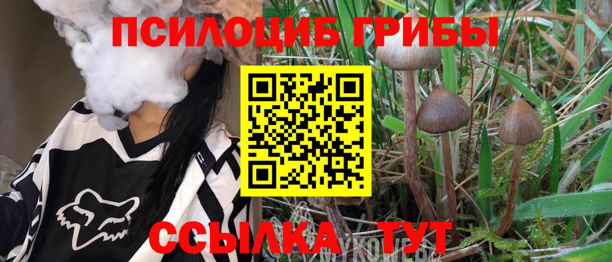 Галлюциногенные грибы мицелий  Вход с VPN  Галлюциногенные грибы MAGIC MUSHROOMS  Южно-Сахалинск 
